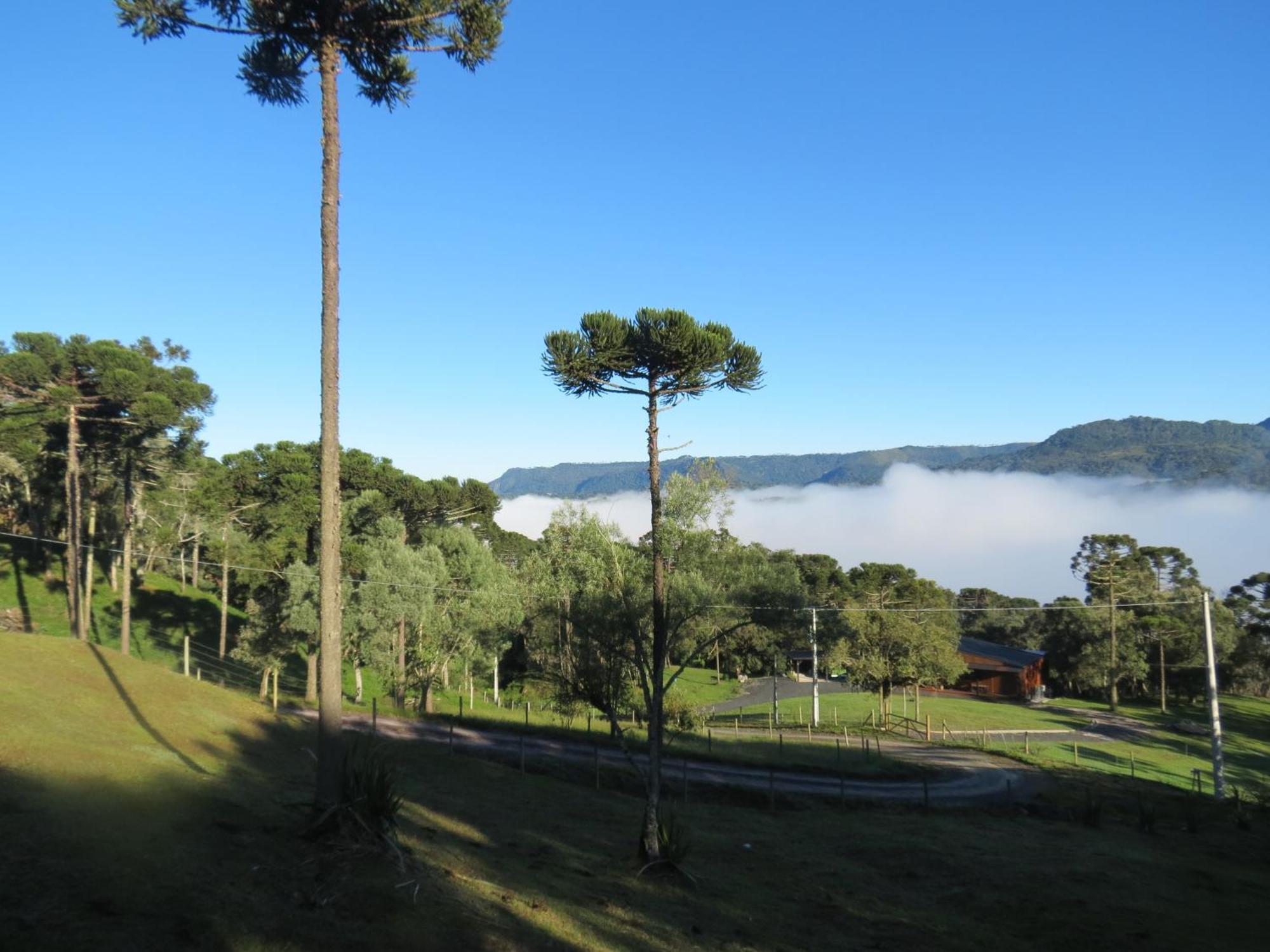 Villa Refugio Da Montanha Urubici Esterno foto