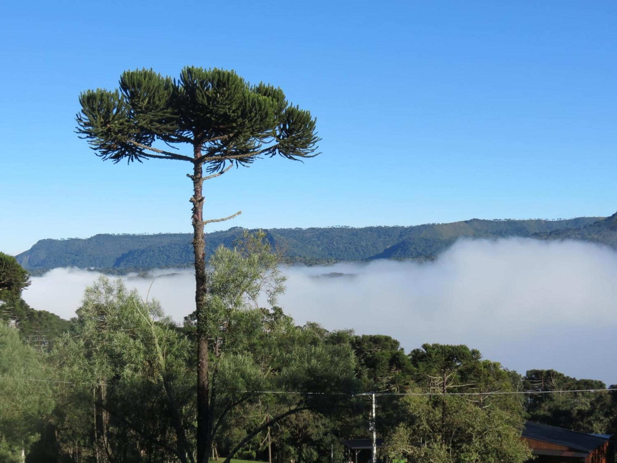 Villa Refugio Da Montanha Urubici Esterno foto